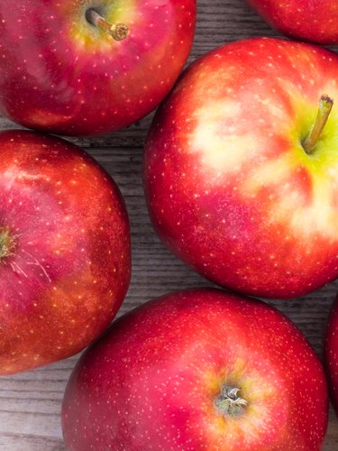 Apples - Find Fresh Farm Markets and Groceries in NJ