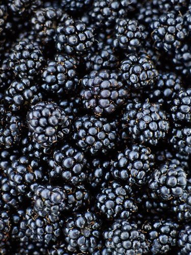 Blackberries - Find Fresh Farm Markets and Groceries in NJ
