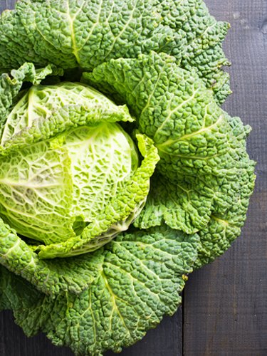 Cabbage - Find Fresh Farm Markets and Groceries in NJ