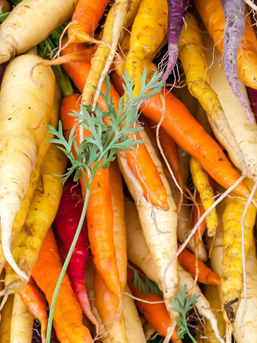 Carrots - Find Fresh Farm Markets and Groceries in NJ