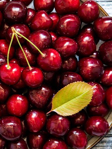 Cherries - Find Fresh Farm Markets and Groceries in NJ