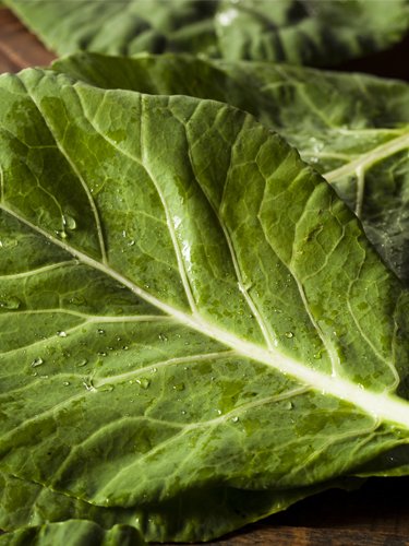 Collards - Find Fresh Farm Markets and Groceries in NJ