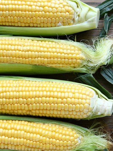 Corn - Find Fresh Farm Markets and Groceries in NJ