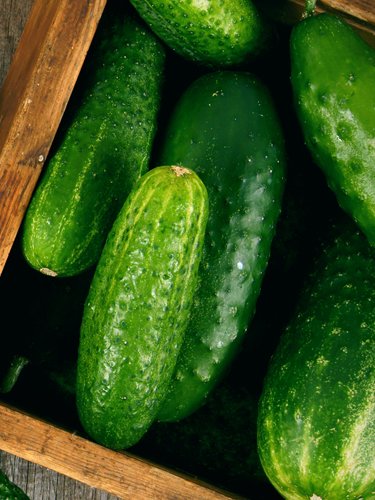 Cucumbers - Find Fresh Farm Markets and Groceries in NJ