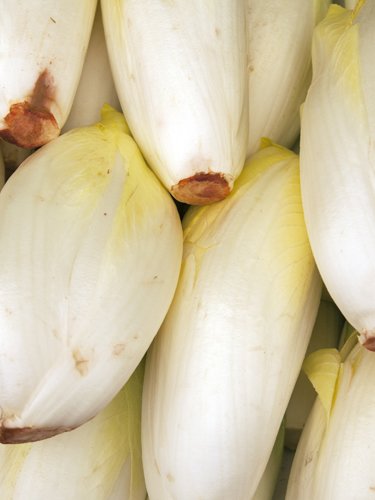 Endive - Find Fresh Farm Markets and Groceries in NJ