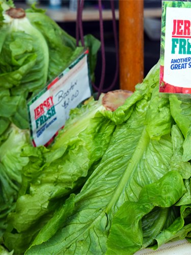 Lettuce - Find Fresh Farm Markets and Groceries in NJ