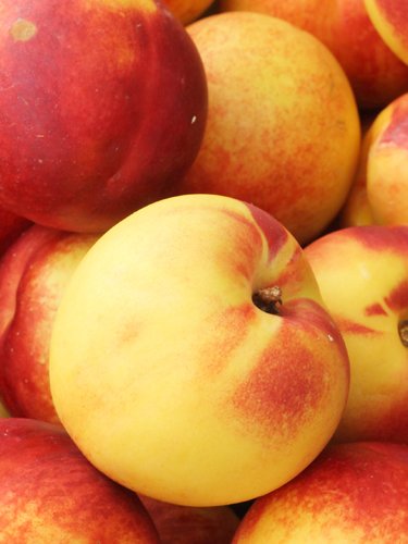 Nectarines - Find Fresh Farm Markets and Groceries in NJ