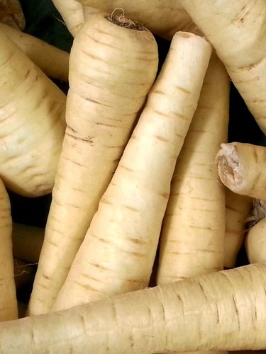 Parsnips - Find Fresh Farm Markets and Groceries in NJ