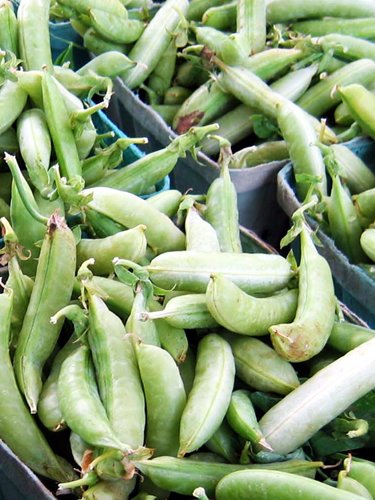 Peas - Find Fresh Farm Markets and Groceries in NJ