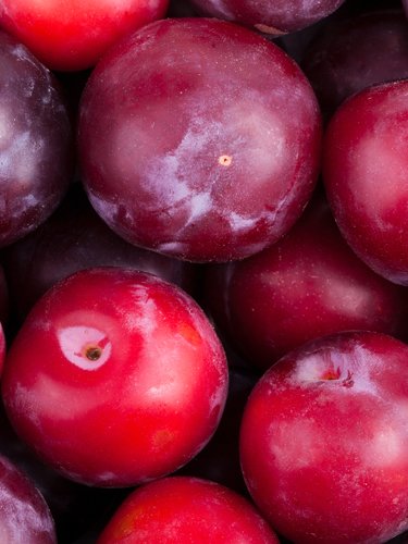 Plums - Find Fresh Farm Markets and Groceries in NJ