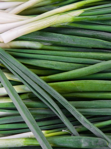 Scallions - Find Fresh Farm Markets and Groceries in NJ