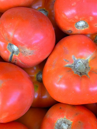 Tomatoes - Find Fresh Farm Markets and Groceries in NJ