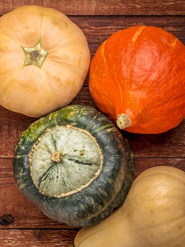 Winter Squash - Find Fresh Farm Markets and Groceries in NJ