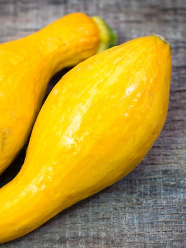 Yellow Squash - Find Fresh Farm Markets and Groceries in NJ