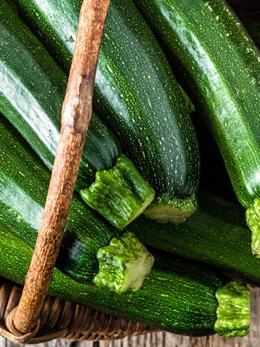 Zucchini - Find Fresh Farm Markets and Groceries in NJ