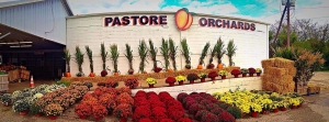 pastore-orchards